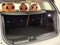 2024 MINI CLUBMAN Base