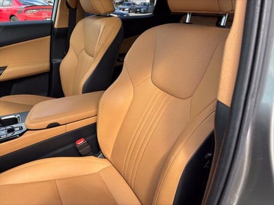 2022 Lexus NX 350 Base