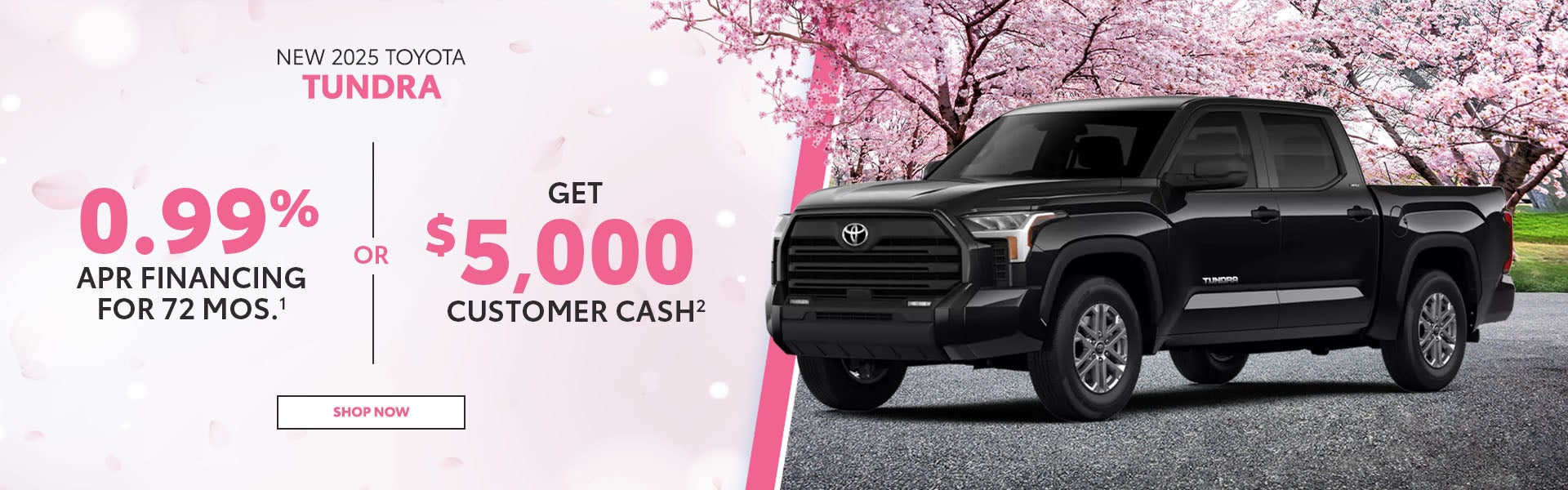 New 2025 Toyota Tundra